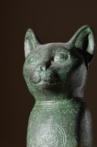 sognare gatto